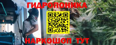 молекула духа Усть-Джегута