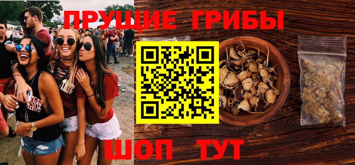Гай  Галлюциногенные грибы Cubensis  Вход с VPN 